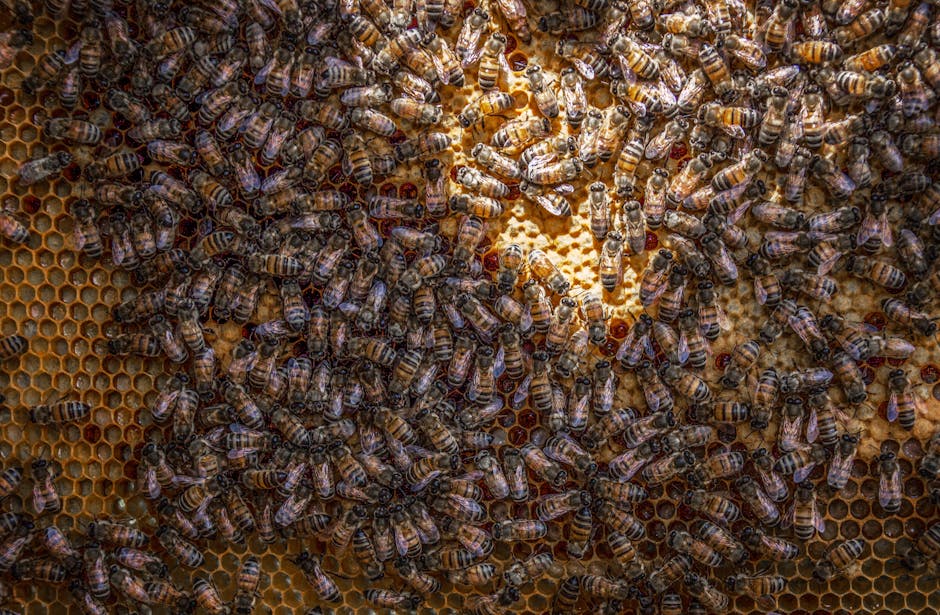 bee themed snacks close up food