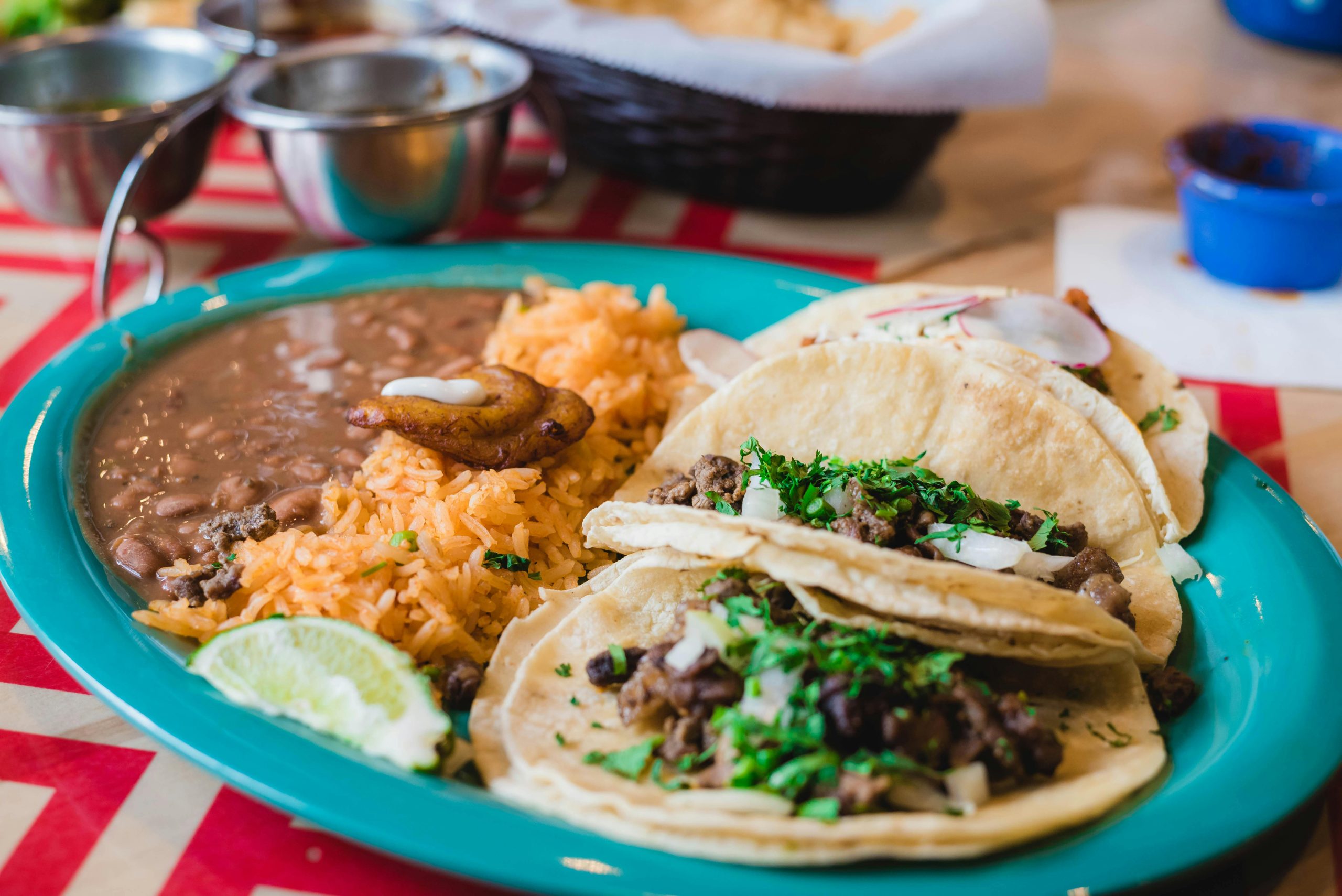 A plate of three chicken tacos topped with fresh cilantro, onions, and a drizzle of creamy sauce.